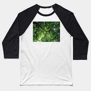 200 years old tree on river Cam Baseball T-Shirt